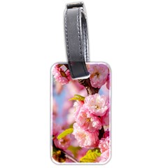 Flowering Almond Flowersg Luggage Tags (two Sides) by FunnyCow