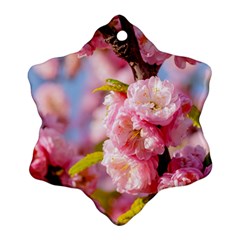 Flowering Almond Flowersg Snowflake Ornament (two Sides) by FunnyCow