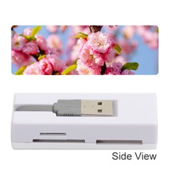 Flowering Almond Flowersg Memory Card Reader (stick) by FunnyCow