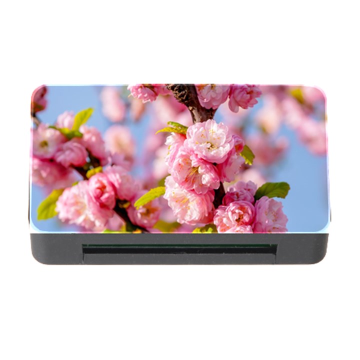 Flowering Almond Flowersg Memory Card Reader with CF