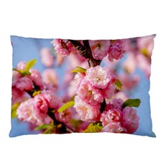 Flowering Almond Flowersg Pillow Case (two Sides) by FunnyCow