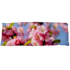 Flowering Almond Flowersg Body Pillow Case (dakimakura) by FunnyCow