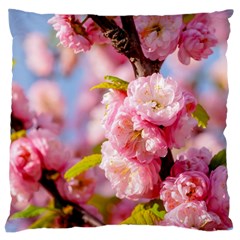 Flowering Almond Flowersg Large Cushion Case (one Side) by FunnyCow