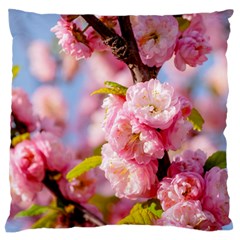 Flowering Almond Flowersg Large Flano Cushion Case (one Side) by FunnyCow