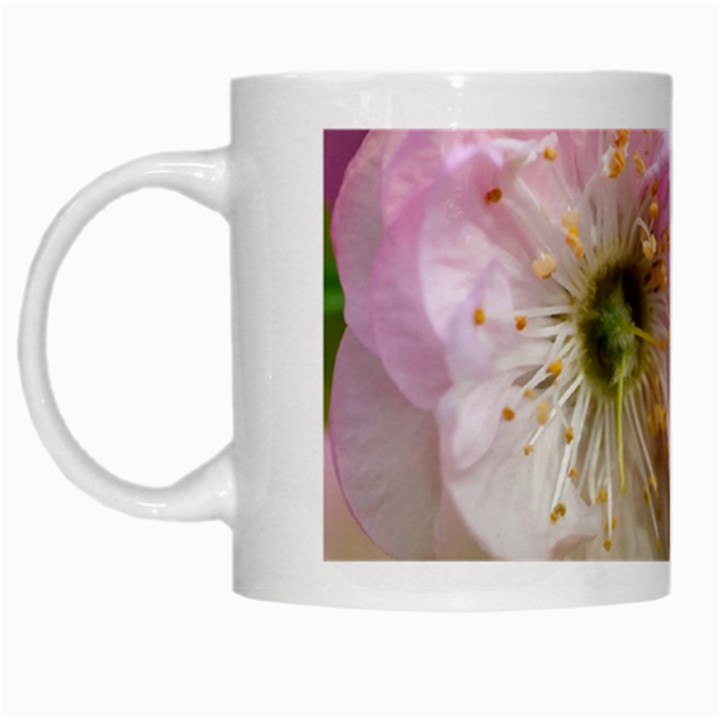 Single Almond Flower White Mugs