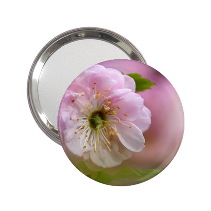 Single Almond Flower 2.25  Handbag Mirrors