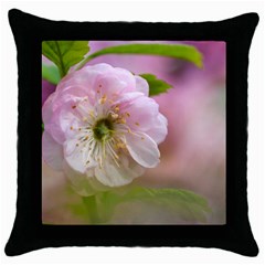 Single Almond Flower Throw Pillow Case (black) by FunnyCow