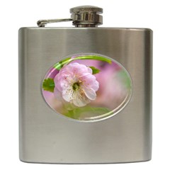 Single Almond Flower Hip Flask (6 Oz) by FunnyCow