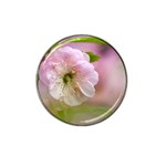 Single Almond Flower Hat Clip Ball Marker (4 pack) Front