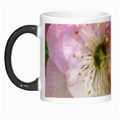 Single Almond Flower Morph Mugs by FunnyCow