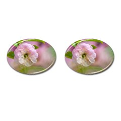 Single Almond Flower Cufflinks (oval) by FunnyCow