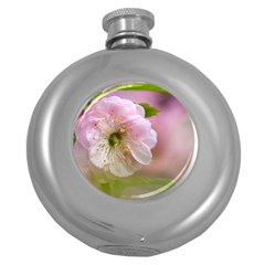 Single Almond Flower Round Hip Flask (5 Oz) by FunnyCow