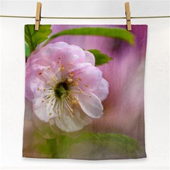 Single Almond Flower Face Towel by FunnyCow