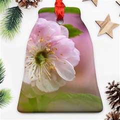 Single Almond Flower Ornament (bell) by FunnyCow