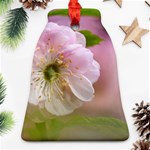 Single Almond Flower Ornament (Bell) Front