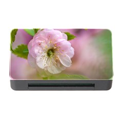 Single Almond Flower Memory Card Reader With Cf by FunnyCow