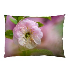 Single Almond Flower Pillow Case (two Sides) by FunnyCow