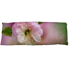 Single Almond Flower Body Pillow Case (dakimakura) by FunnyCow