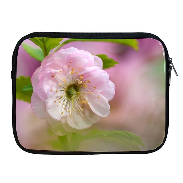 Single Almond Flower Apple iPad 2/3/4 Zipper Cases