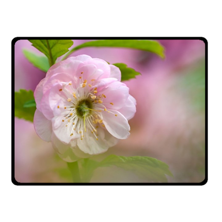 Single Almond Flower Double Sided Fleece Blanket (Small) 