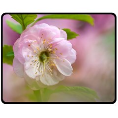 Single Almond Flower Double Sided Fleece Blanket (medium)  by FunnyCow