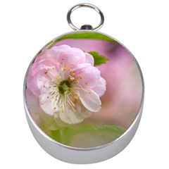 Single Almond Flower Silver Compasses by FunnyCow