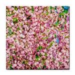 Almond Tree In Bloom Tile Coasters Front