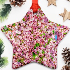 Almond Tree In Bloom Ornament (star) by FunnyCow