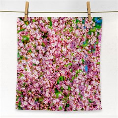 Almond Tree In Bloom Face Towel by FunnyCow