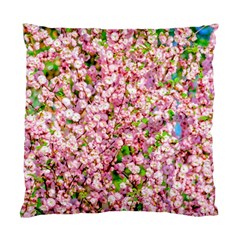 Almond Tree In Bloom Standard Cushion Case (one Side) by FunnyCow