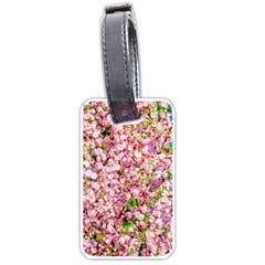 Almond Tree In Bloom Luggage Tags (one Side)  by FunnyCow