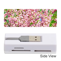 Almond Tree In Bloom Memory Card Reader (stick) by FunnyCow