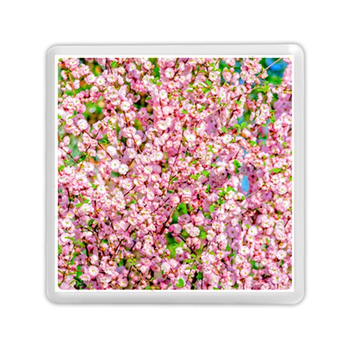 Almond Tree In Bloom Memory Card Reader (Square)