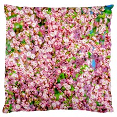 Almond Tree In Bloom Large Cushion Case (one Side) by FunnyCow