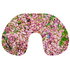 Almond Tree In Bloom Travel Neck Pillows by FunnyCow