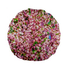 Almond Tree In Bloom Standard 15  Premium Flano Round Cushions by FunnyCow