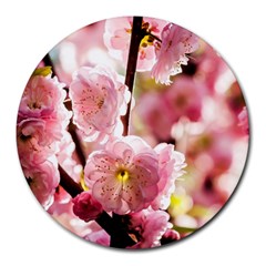 Blooming Almond At Sunset Round Mousepads by FunnyCow