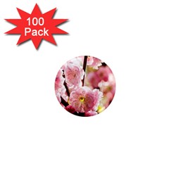 Blooming Almond At Sunset 1  Mini Magnets (100 Pack)  by FunnyCow