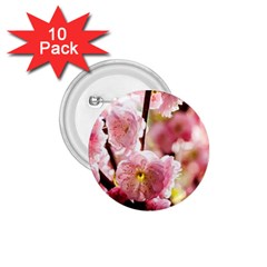 Blooming Almond At Sunset 1 75  Buttons (10 Pack) by FunnyCow