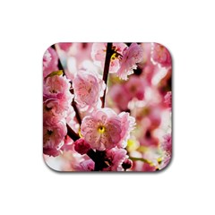 Blooming Almond At Sunset Rubber Coaster (square)  by FunnyCow