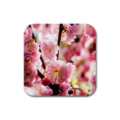 Blooming Almond At Sunset Rubber Square Coaster (4 Pack)  by FunnyCow