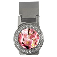 Blooming Almond At Sunset Money Clips (cz)  by FunnyCow