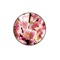 Blooming Almond At Sunset Hat Clip Ball Marker (4 Pack) by FunnyCow