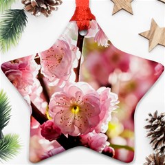 Blooming Almond At Sunset Star Ornament (two Sides) by FunnyCow