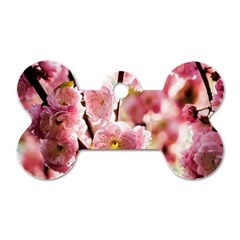 Blooming Almond At Sunset Dog Tag Bone (two Sides) by FunnyCow