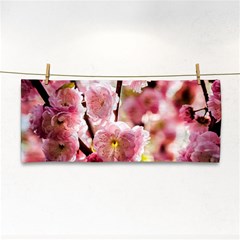 Blooming Almond At Sunset Hand Towel by FunnyCow