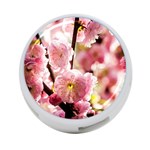 Blooming Almond At Sunset 4-Port USB Hub (Two Sides) Front