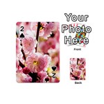 Blooming Almond At Sunset Playing Cards 54 (Mini)  Front - Spade2