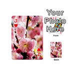 Blooming Almond At Sunset Playing Cards 54 (Mini)  Front - HeartJ