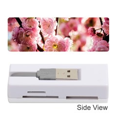 Blooming Almond At Sunset Memory Card Reader (stick) by FunnyCow